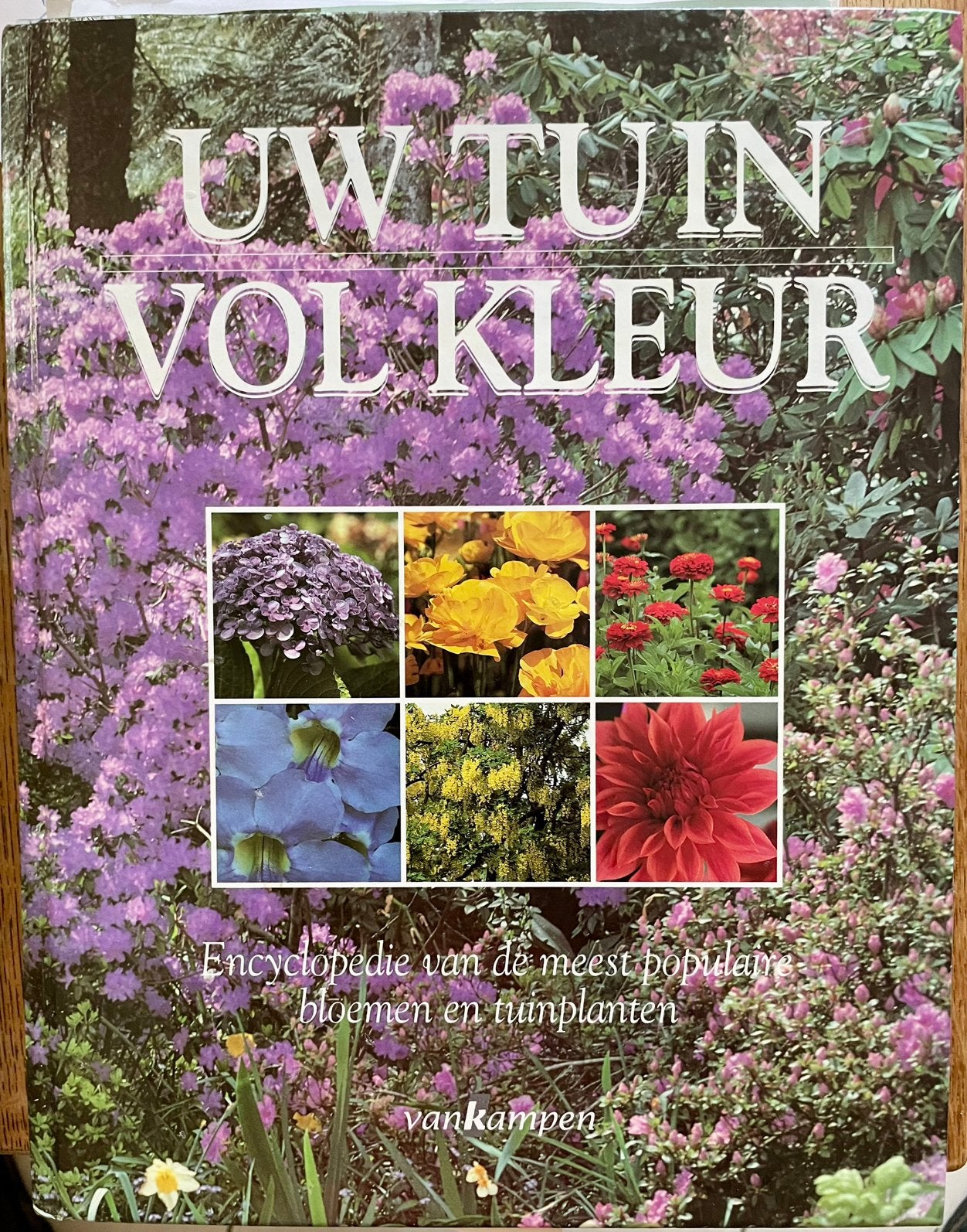 Uw tuin vol kleur door auteur Mary Moody, Boeken, Ophalen of Verzenden, Zo goed als nieuw