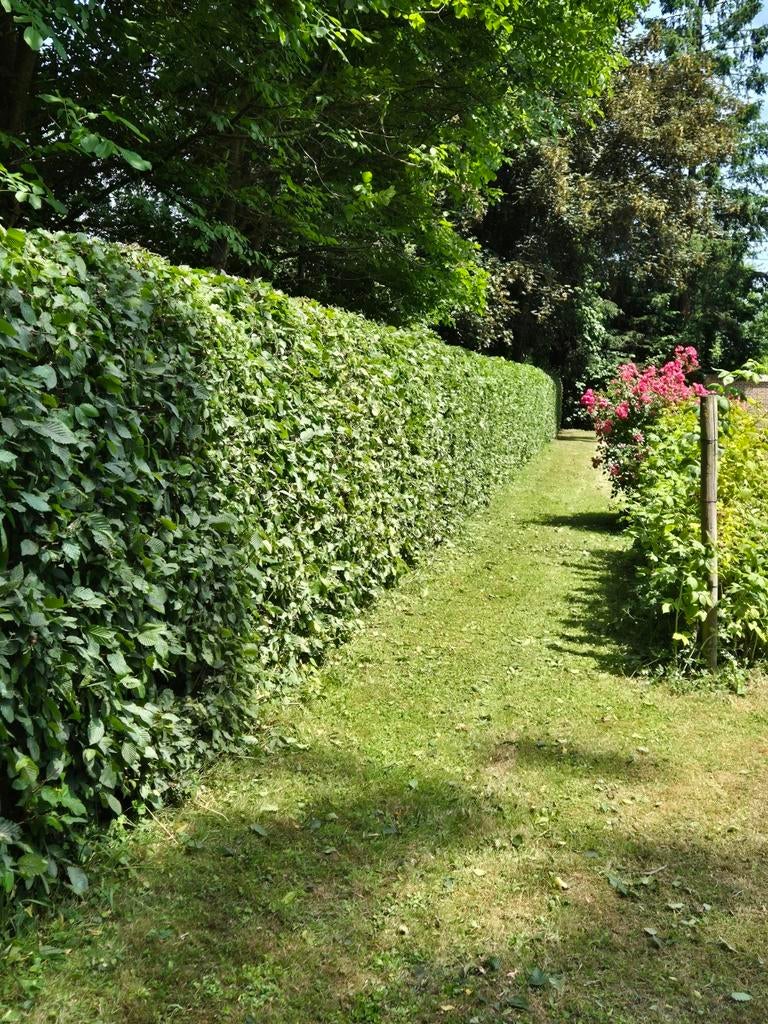 Jardinier, Enlèvement ou Envoi