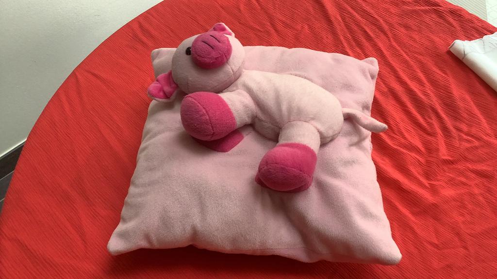Schattig knuffelkussen met varkentje., Ophalen of Verzenden, Nieuw, Roze, Vierkant