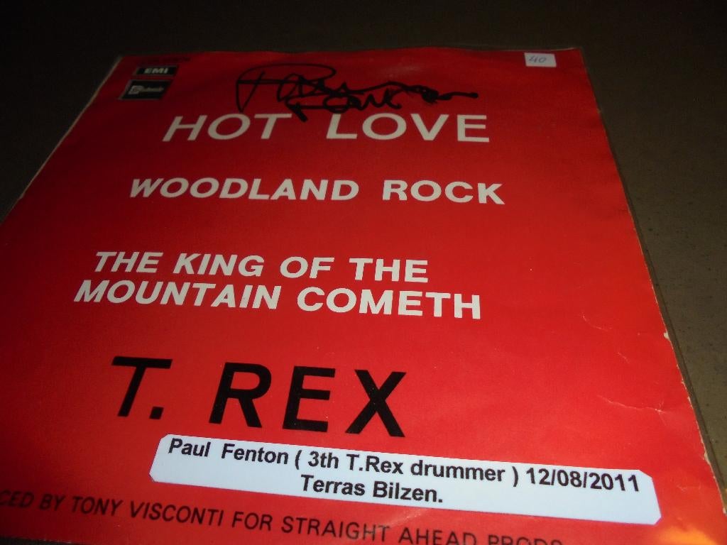 T.Rex  hot love, Ophalen of Verzenden, Zo goed als nieuw