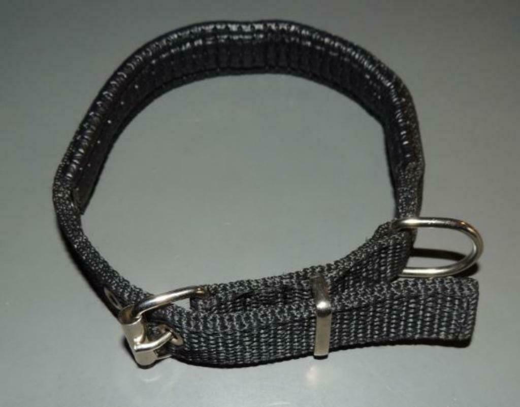 Collier noir renforcé pour chien, Enlèvement ou Envoi, Neuf