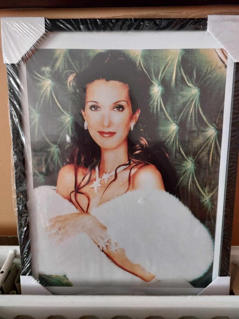 Celine Dion fotokaders, Enlèvement ou Envoi, Neuf