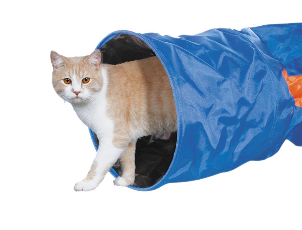 tunnel pour chats, Animaux & Accessoires, Jouets pour chats, Enlèvement ou Envoi, Neuf, Tunnel de jeu