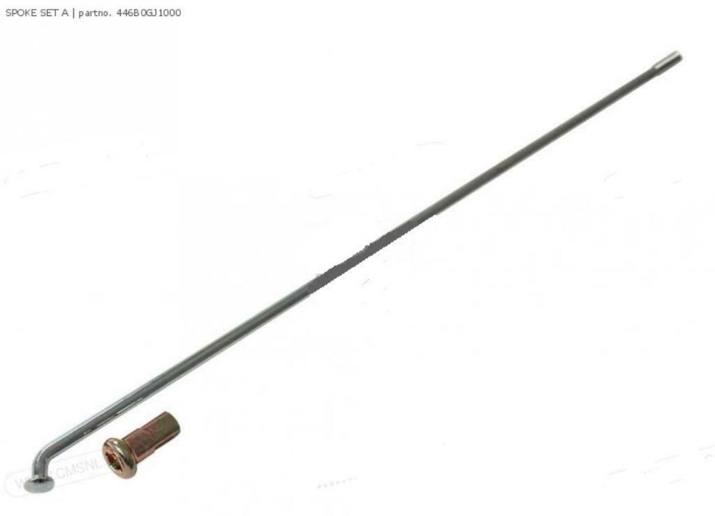 Honda  MTX - 50 / 80, Verzenden, Nieuw, Honda