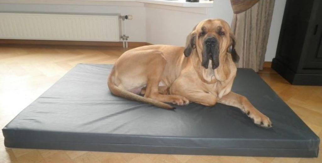 Honden Mand Hondenkussen Hondenbed HD - Diverse Maten!, Dieren en Toebehoren, Ophalen of Verzenden, Nieuw