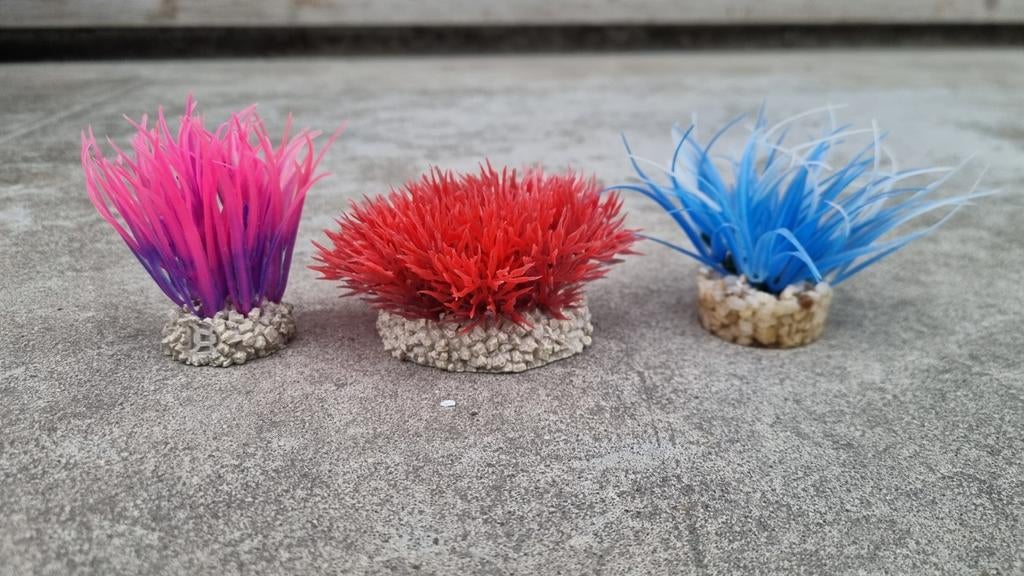 Aquariumplanten 3 stuks, Ophalen of Verzenden, Zo goed als nieuw