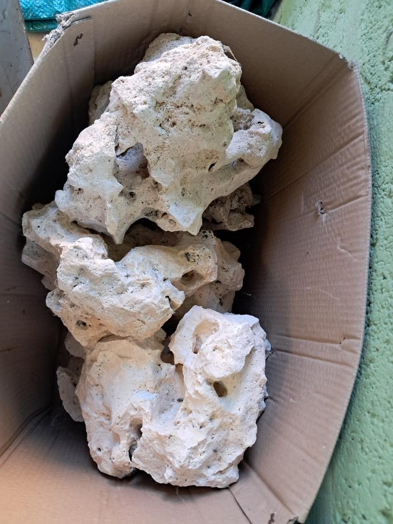 Maanstenen voor aquarium of vijver, Dieren en Toebehoren, Ophalen