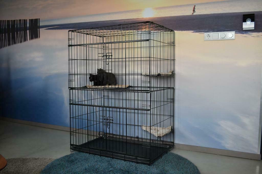 Cage chat 131 cm cage chaton cage chat extérieur cage chat, Envoi, Neuf