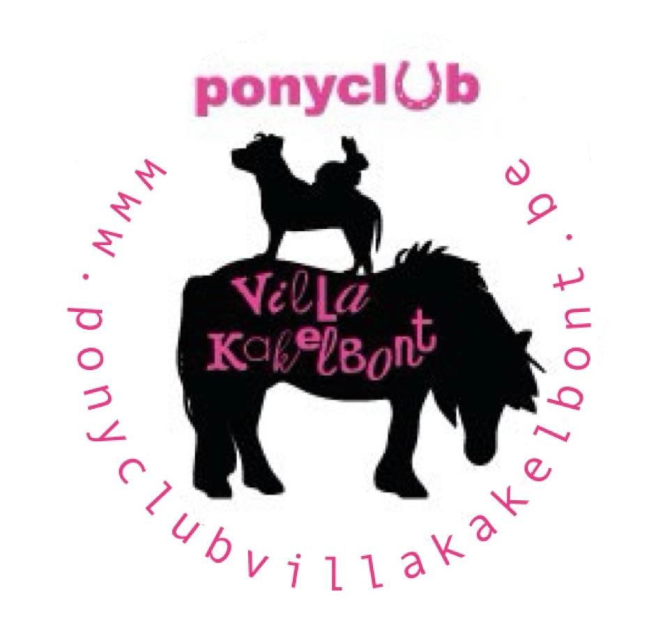 Ponyclub, halve stal, verzorgpony, ponykamp, ponywandeling