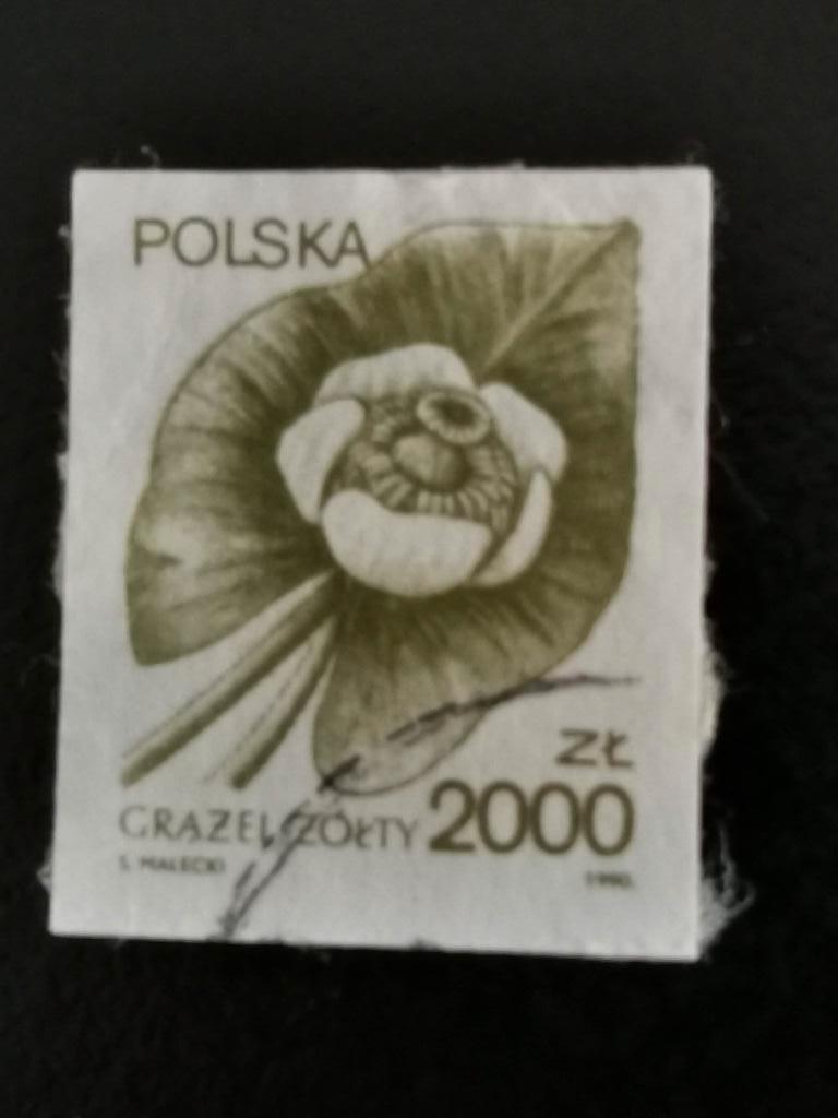 Pologne 1990 - fleurs - Nénuphar jaune, Enlèvement ou Envoi, Pologne, Affranchi