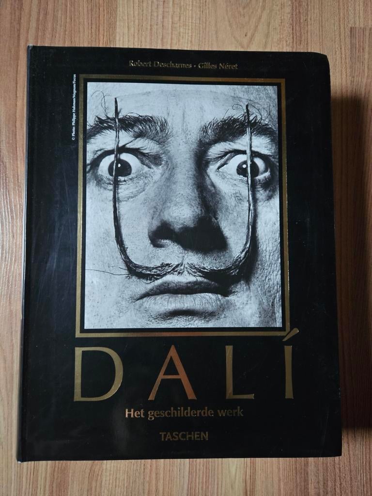Dali - het geschilderde werk Taschen, Ophalen, Zo goed als nieuw