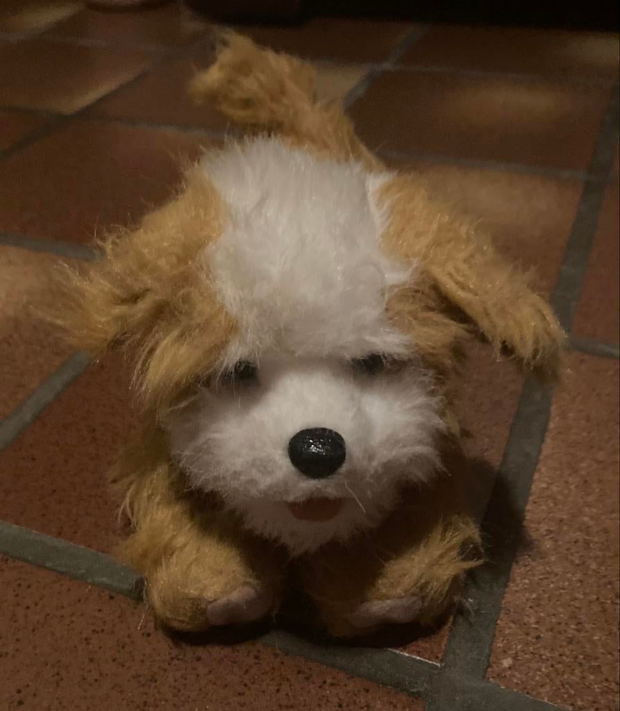 Furreal Friends hondje met geluiden., Ophalen, Zo goed als nieuw, Hond