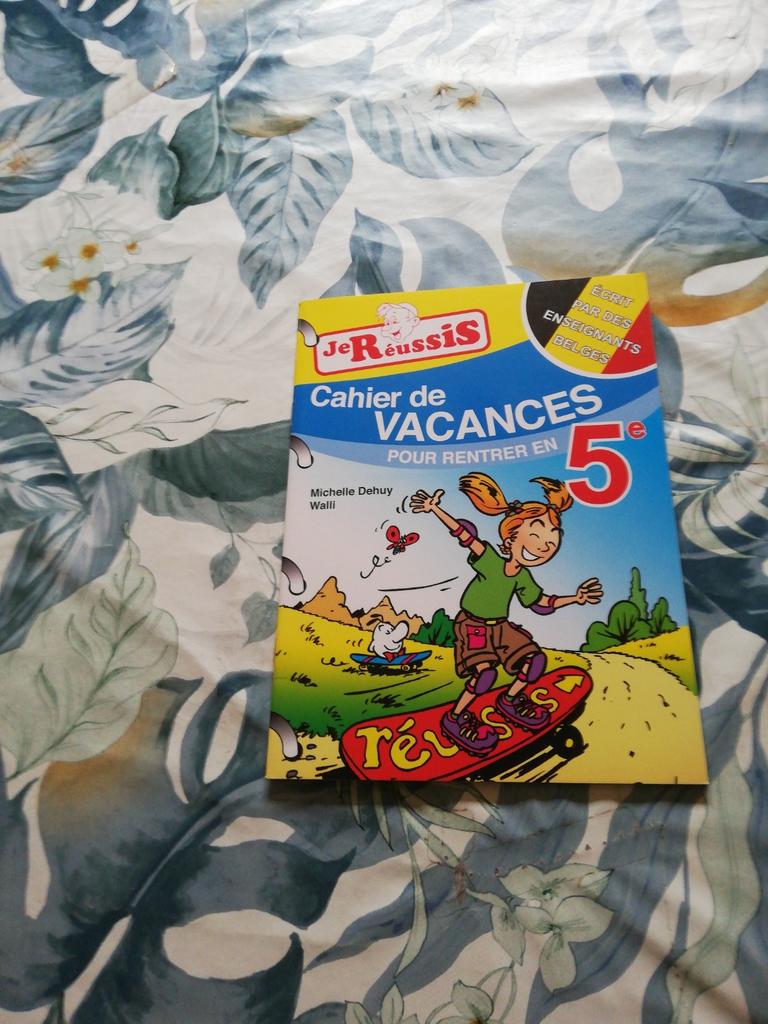 Cahier de vacances pour rentrer en 5e., Livres, Comme neuf