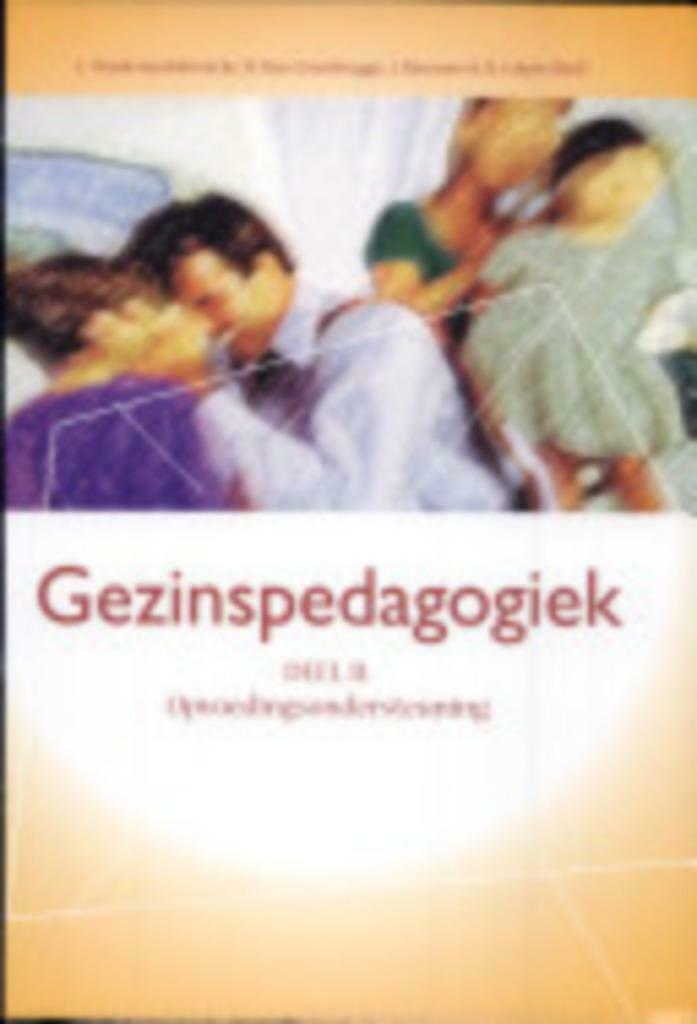 Gezinspedagogiek - Deel 2: Opvoedingsondersteuning,, Boeken, Ophalen of Verzenden, Zo goed als nieuw, Van In