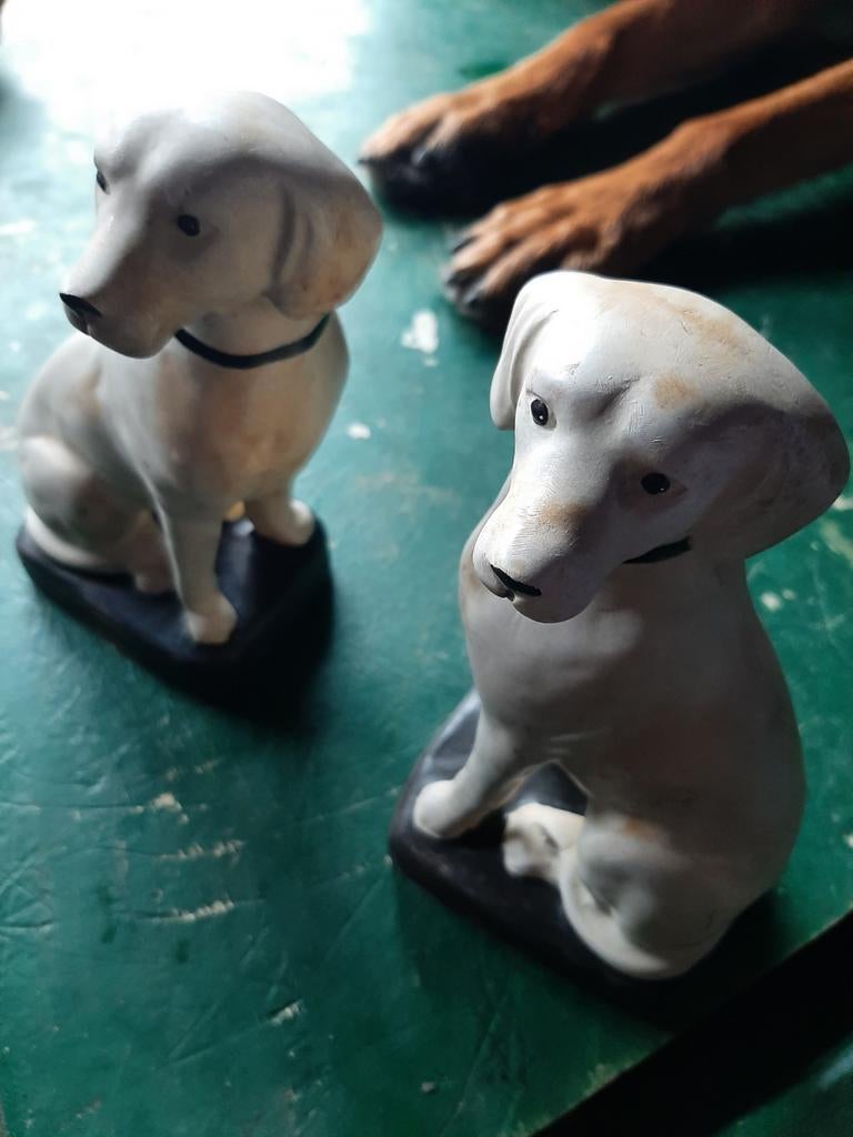 chiens, Enlèvement ou Envoi, Utilisé