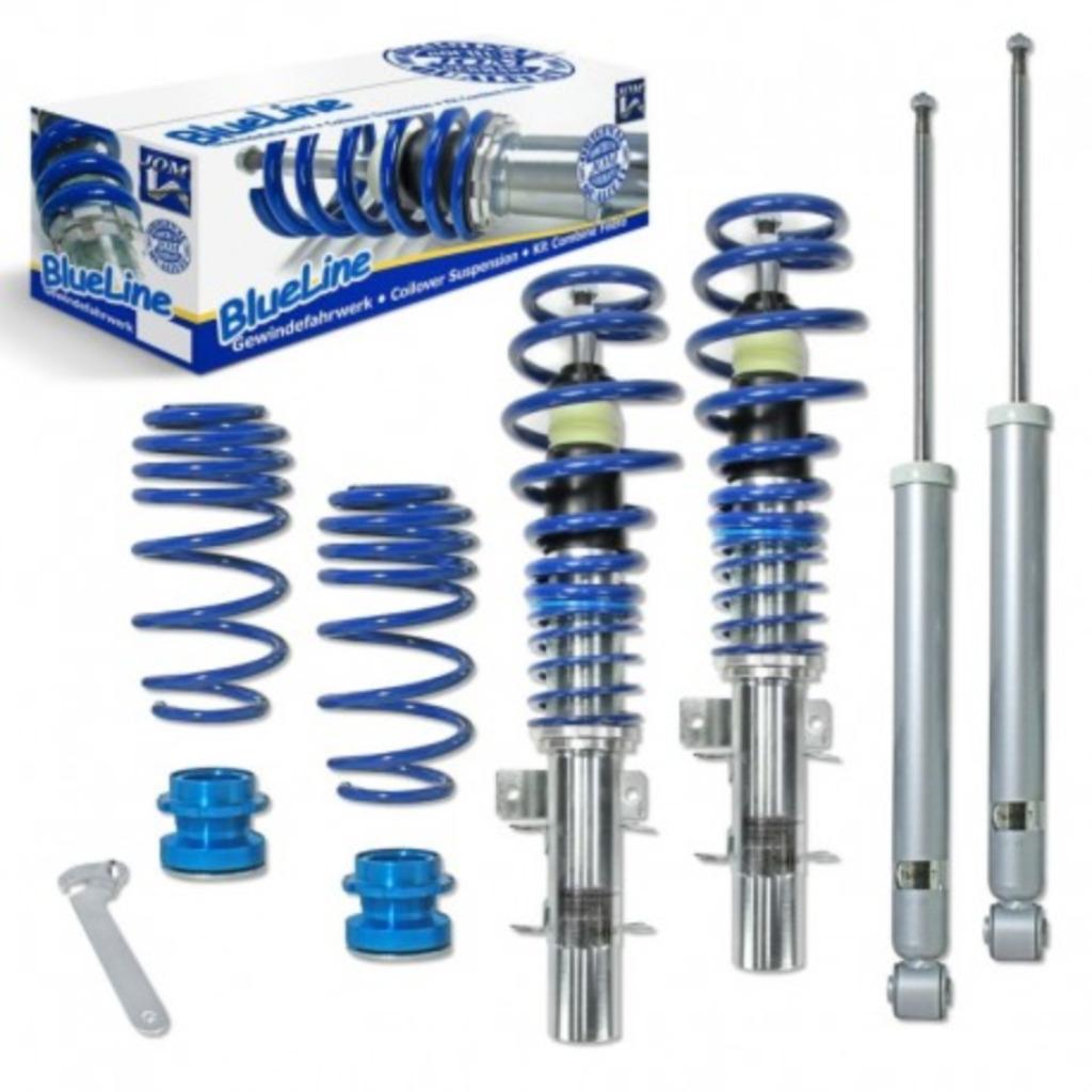 KIT COMBINÉ FILETÉ JOM BLUELINE POUR VW POLO (02-09), Autos : Divers, Tuning & Styling, Enlèvement