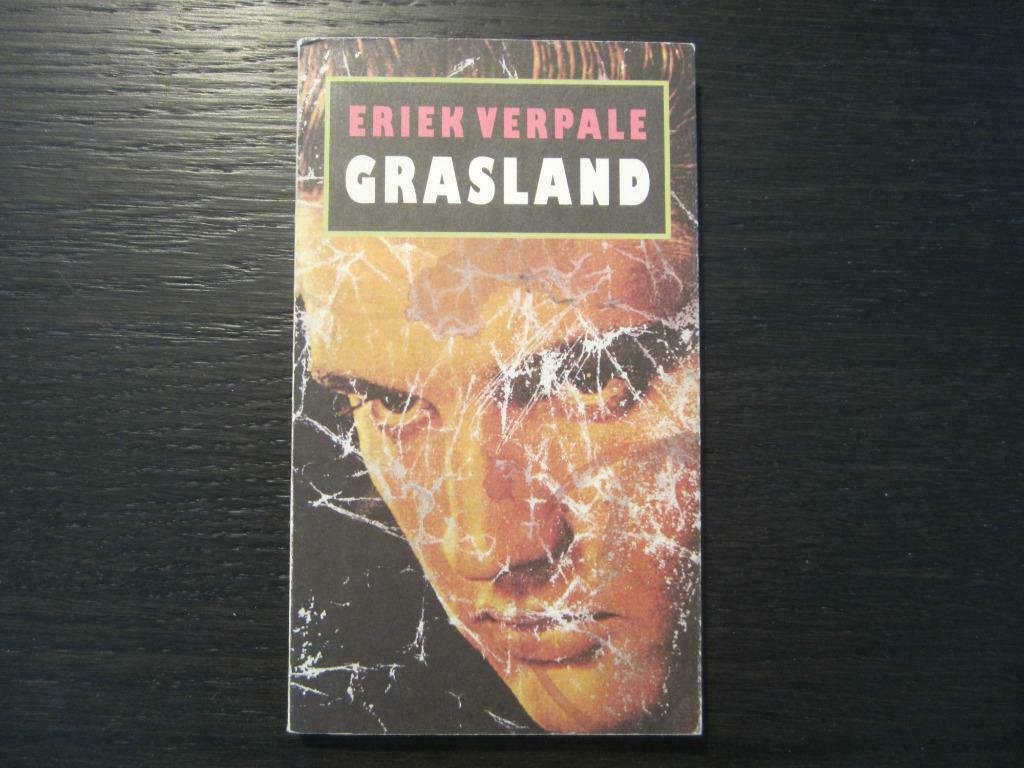 Grasland  -Eriek Verpale-, Ophalen of Verzenden
