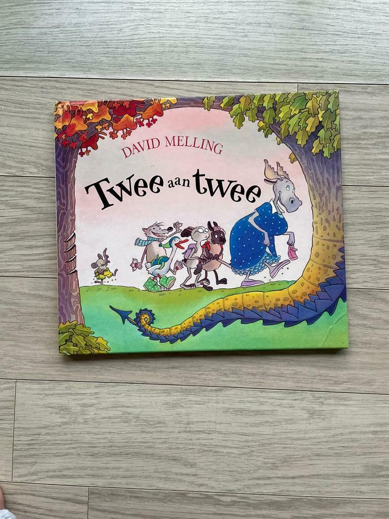 Twee aan twee - David Melling, Boeken, Fictie algemeen, David Mell, Jongen of Meisje, Ophalen of Verzenden