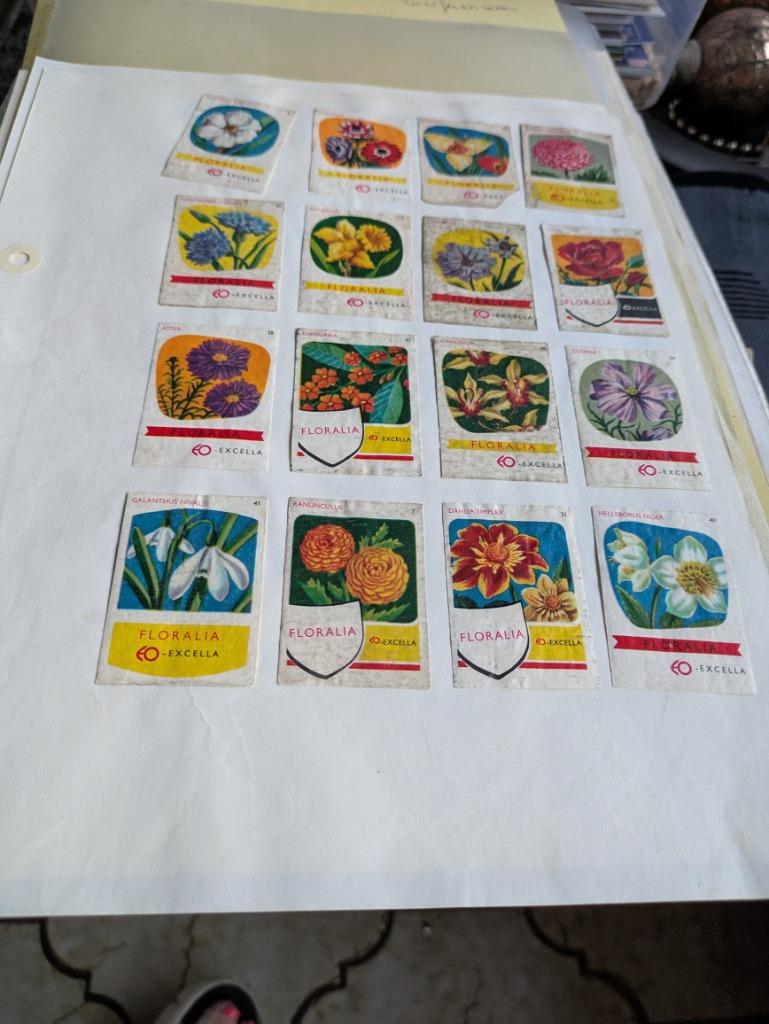 Floralia luciferetiketten, Ophalen of Verzenden, Zo goed als nieuw, Luciferdoosjes of -merken