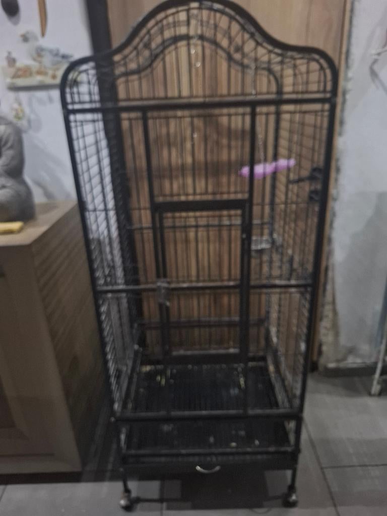 Cage perroquet, Animaux & Accessoires, Enlèvement, Utilisé, Aluminium, Cage à oiseaux