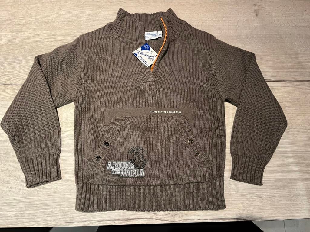 Pull garçon 6 ans, Ophalen of Verzenden, Nieuw, Jongen, Trui of Vest