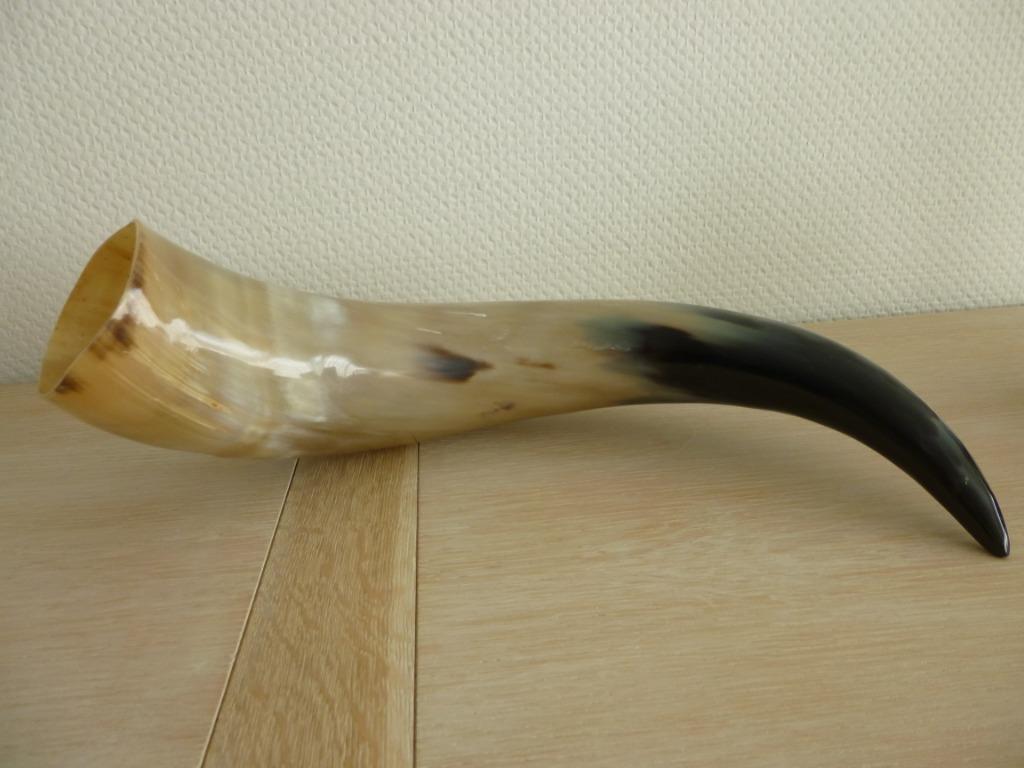2 (water) buffel horens, Antiek en Kunst, Ophalen