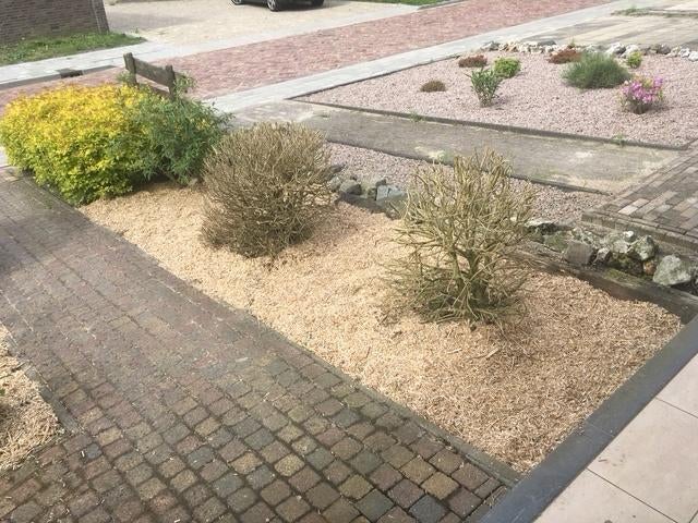 Miscanthus mulch bodembedekker, Tuin en Terras, Ophalen, Bodembedekkers