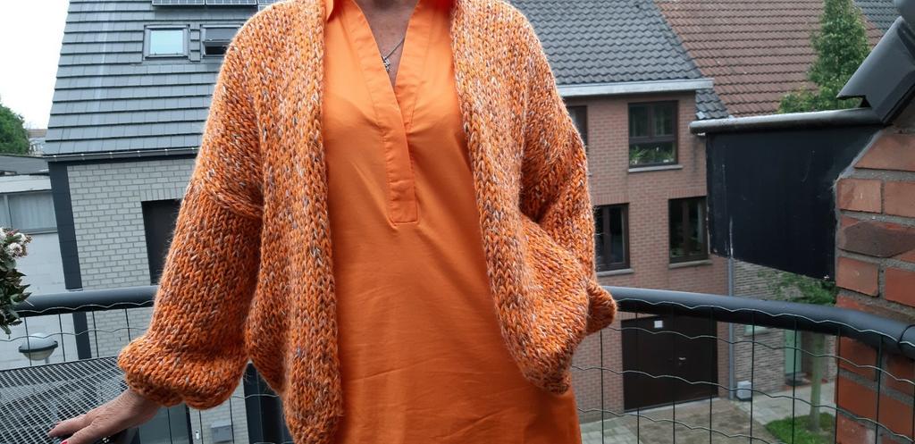 Handmade oranje bernadette, Kleding | Dames, Truien en Vesten, Ophalen of Verzenden, Zo goed als nieuw, Oranje