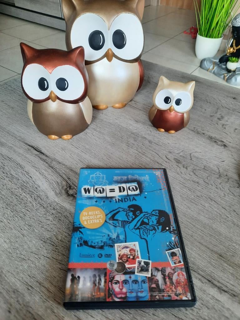 Dvd wa=da India, Cd's en Dvd's, Ophalen of Verzenden, Zo goed als nieuw