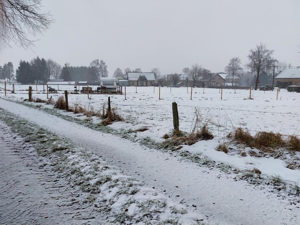 Bouwgrond Weywertz gemeente Butgenbach 849m2