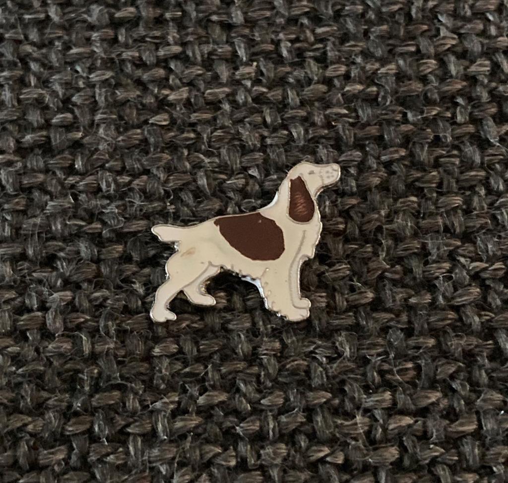 PIN - HOND - CHIEN - DOG, Verzenden, Gebruikt, Dier of Natuur, Speldje of Pin