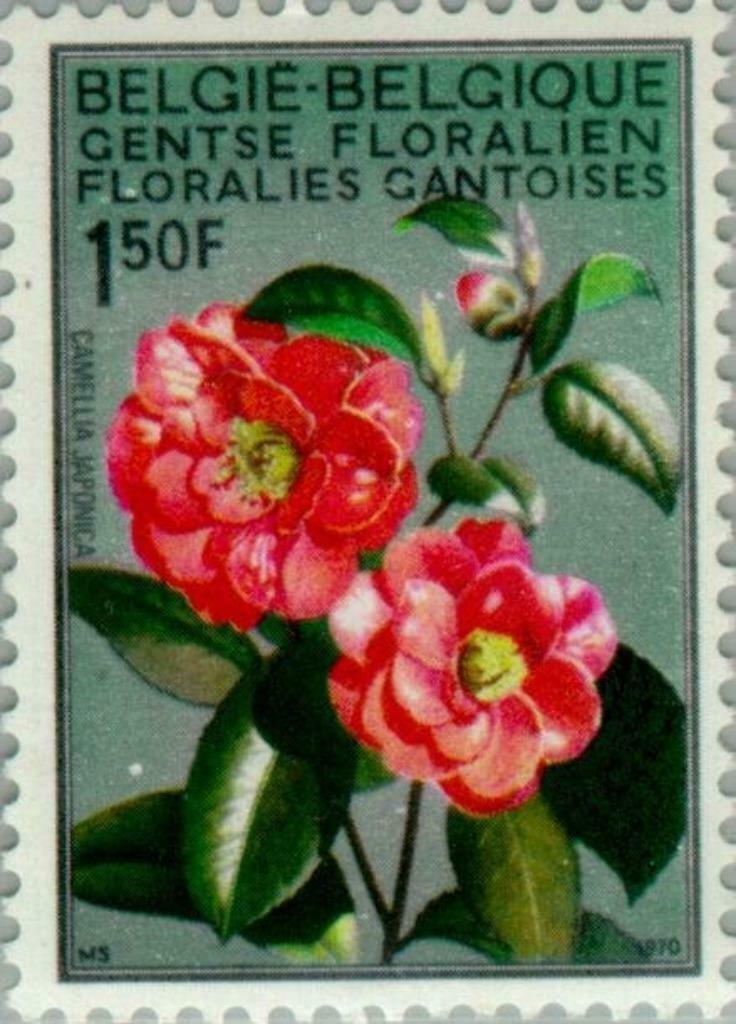 1523-1525 - Gentse floraliën - 1970 - postfris XXX, Orginele gom, Ophalen of Verzenden, Zonder stempel, Postfris