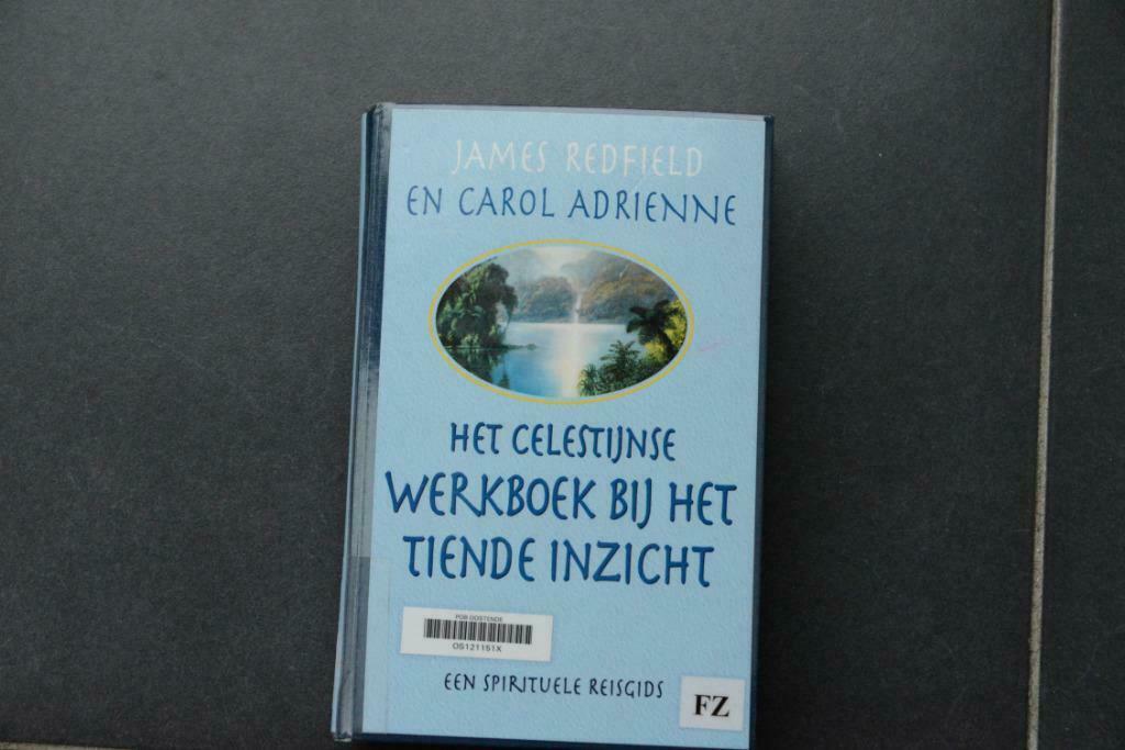 Het Celestijnse Werkboek bij het Tiende Inzicht., Enlèvement ou Envoi, Comme neuf, Manuel d'instruction, Spiritualité en général