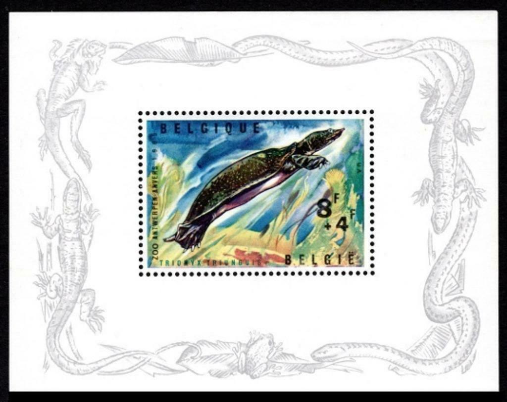 BL39 Feuillet Timbre Zoo Anvers Reptiles Tortue, Timbres & Monnaies, Timbres | Europe | Belgique, Timbre-poste, Enlèvement ou Envoi