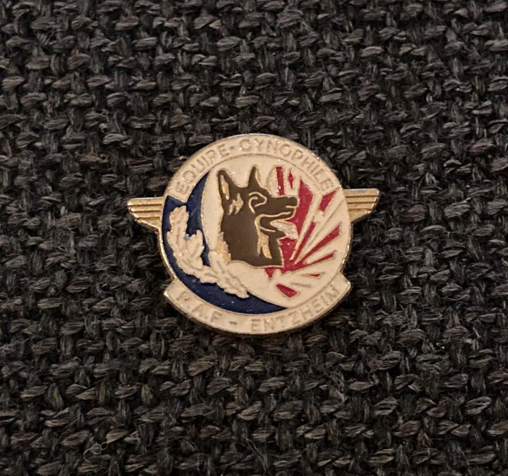 PIN - EQUIPE CYNOPHILE - CHIEN - HOND - DOG, Collections, Envoi, Utilisé, Animal et Nature, Insigne ou Pin's