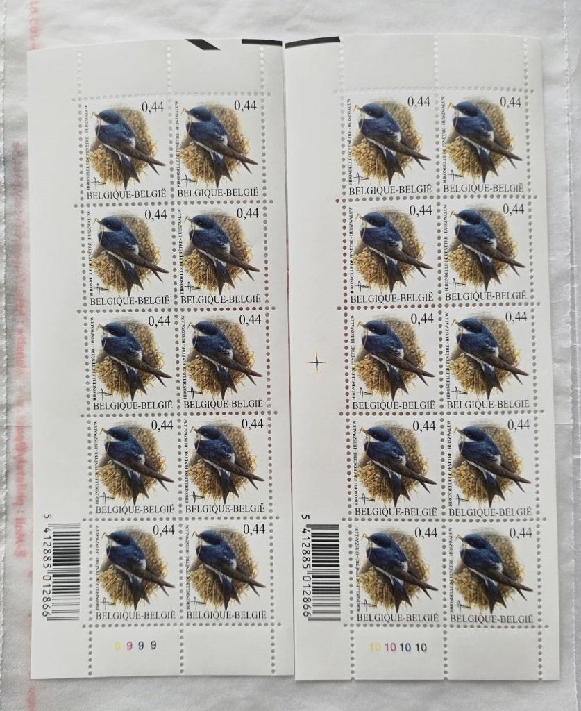 2004 HIRONDELLE DE FENETRE 20 TIM -P-9-10, Envoi