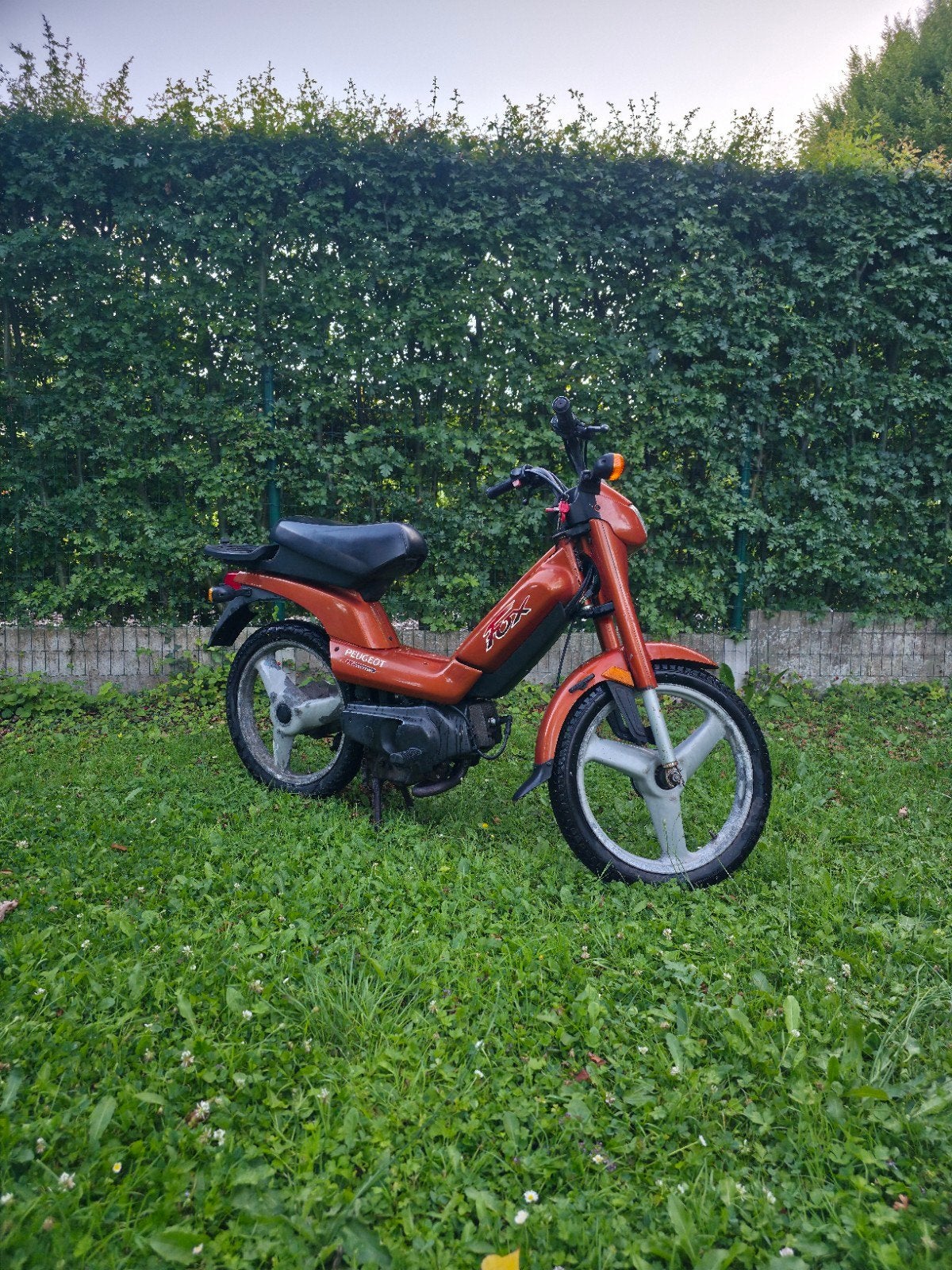 Peugeot Fox Deluxe (Classe A), Vélos & Vélomoteurs, Enlèvement ou Envoi