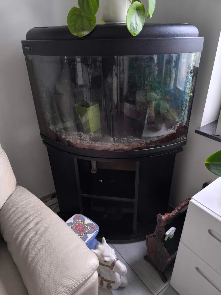 Aquarium/aquarium d'angle, Enlèvement, Tuyaux inclus, Utilisé, Aquarium vide