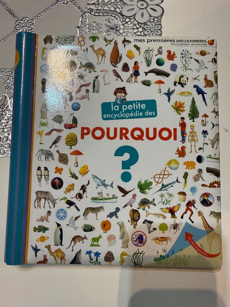 Livre - La petite encyclopédie des POURQUOI?, Enlèvement, Comme neuf