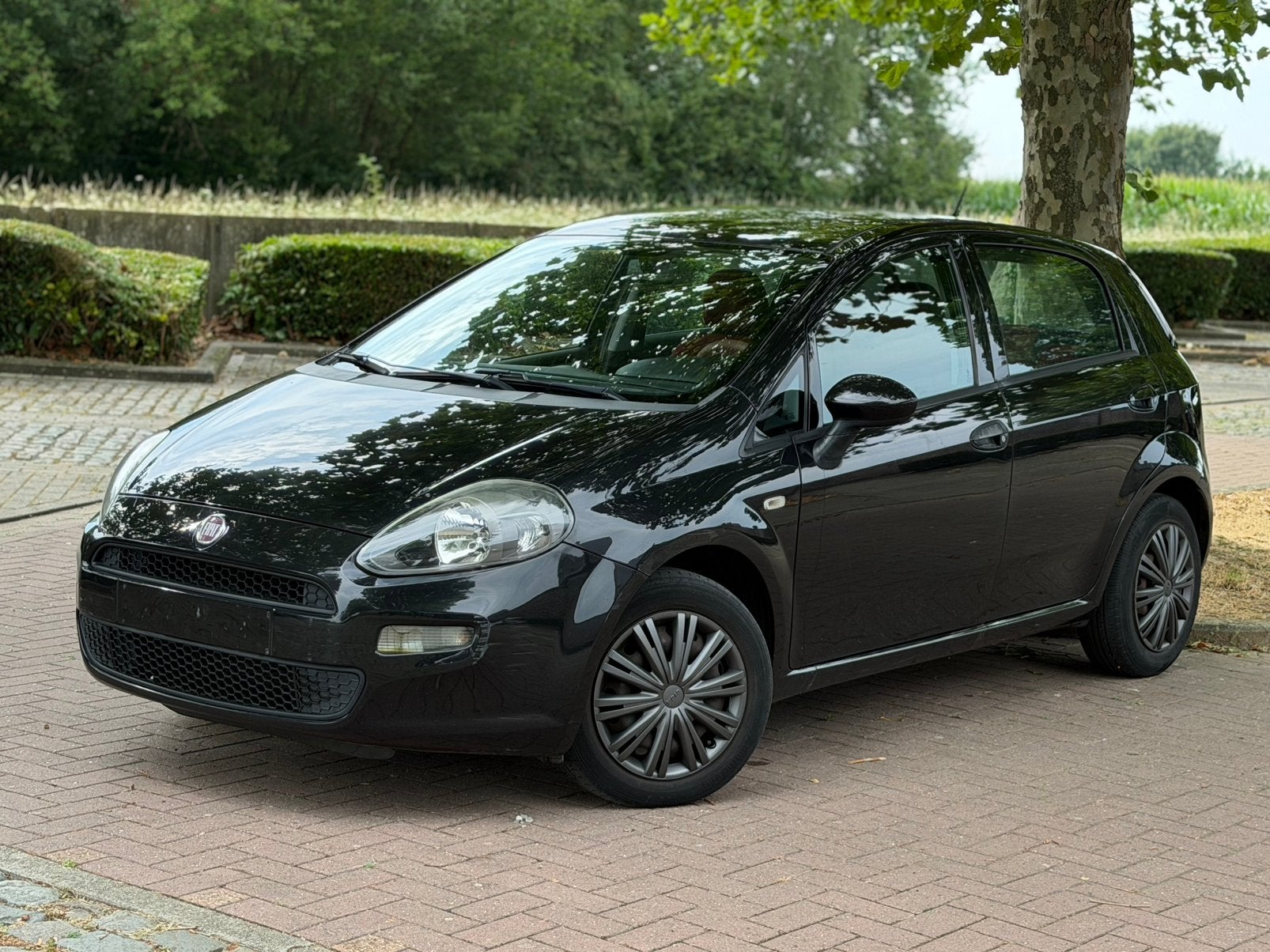 Fiat Punto a déjà approuvé VVK, Euro 5, Achat, 5 portes, Particulier
