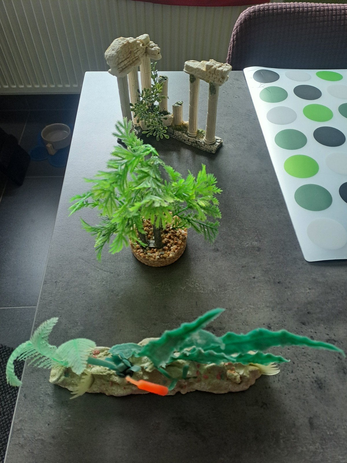 pour aquarium 5€, Enlèvement