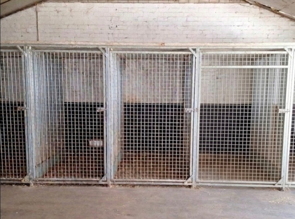 hondenkennel 6x, Enlèvement, Chenil chien