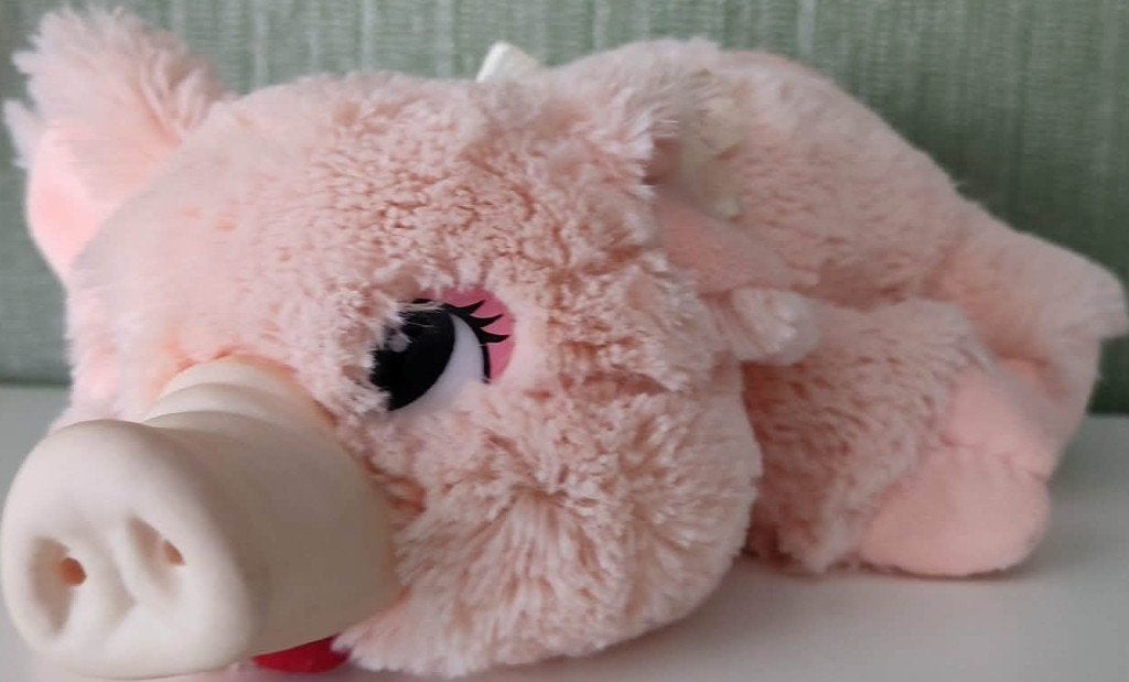 zacht varkentje van Nicky Toy, Gebruikt, Overige merken, Overige typen, Ophalen of Verzenden