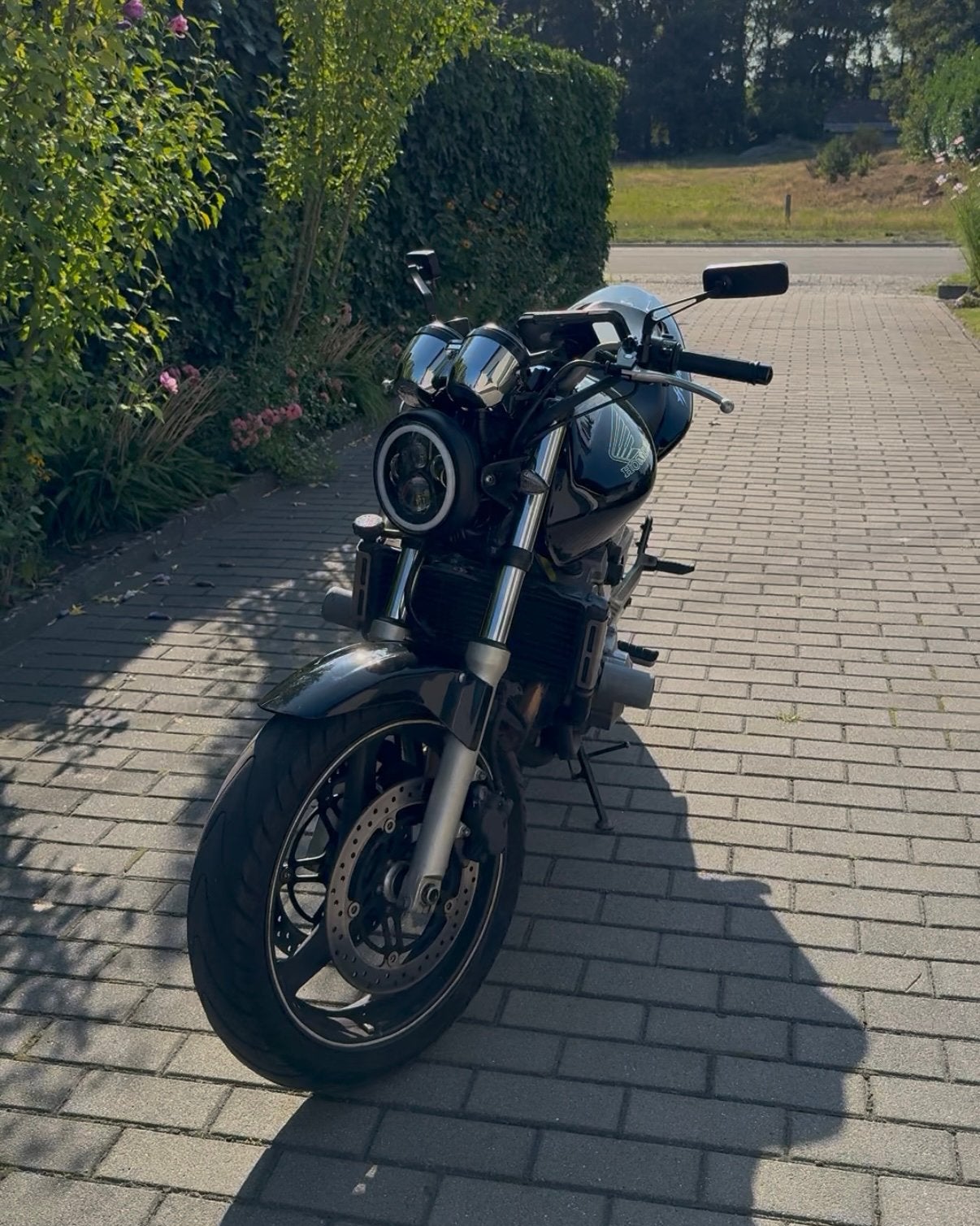 Honda Hornet CB600F 2001, Motos, Motos | Honda, Occasion, Plus de 35 kW, Particulier, 4 cylindres