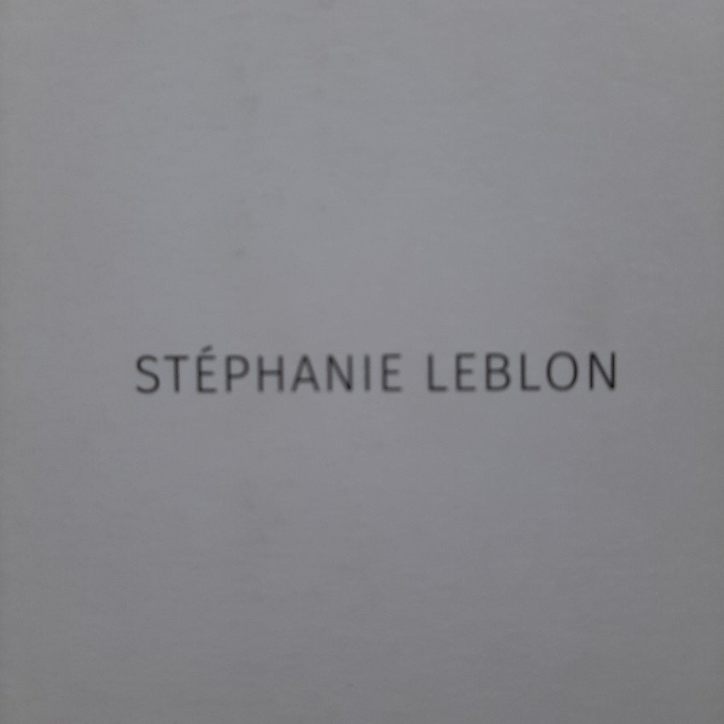 Stéphanie Leblon (pakket), Boeken, Kunst en Cultuur | Beeldend, Ophalen of Verzenden, Zo goed als nieuw, P Lodermeyer & D Pauwels