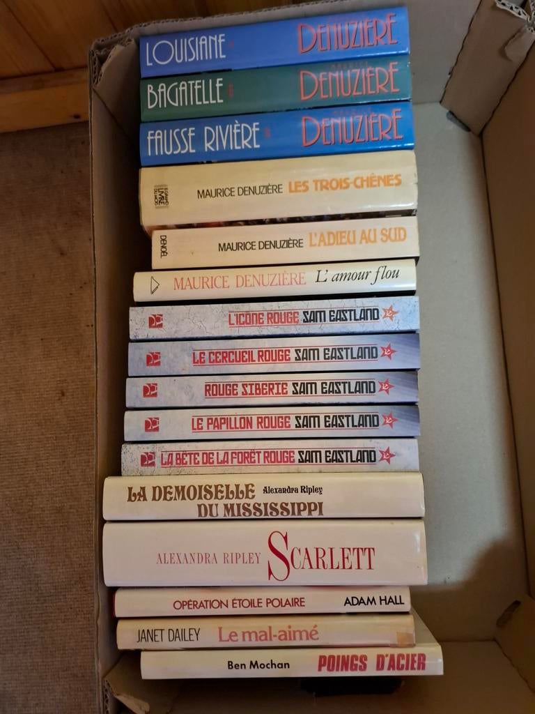 Beaux livres, Livres, Enlèvement ou Envoi