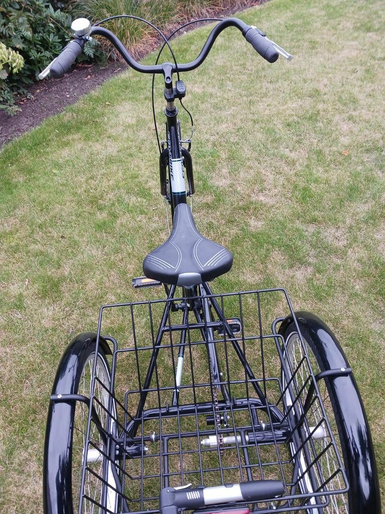 Driewieler voor volwassen, Fietsen en Brommers, Ophalen