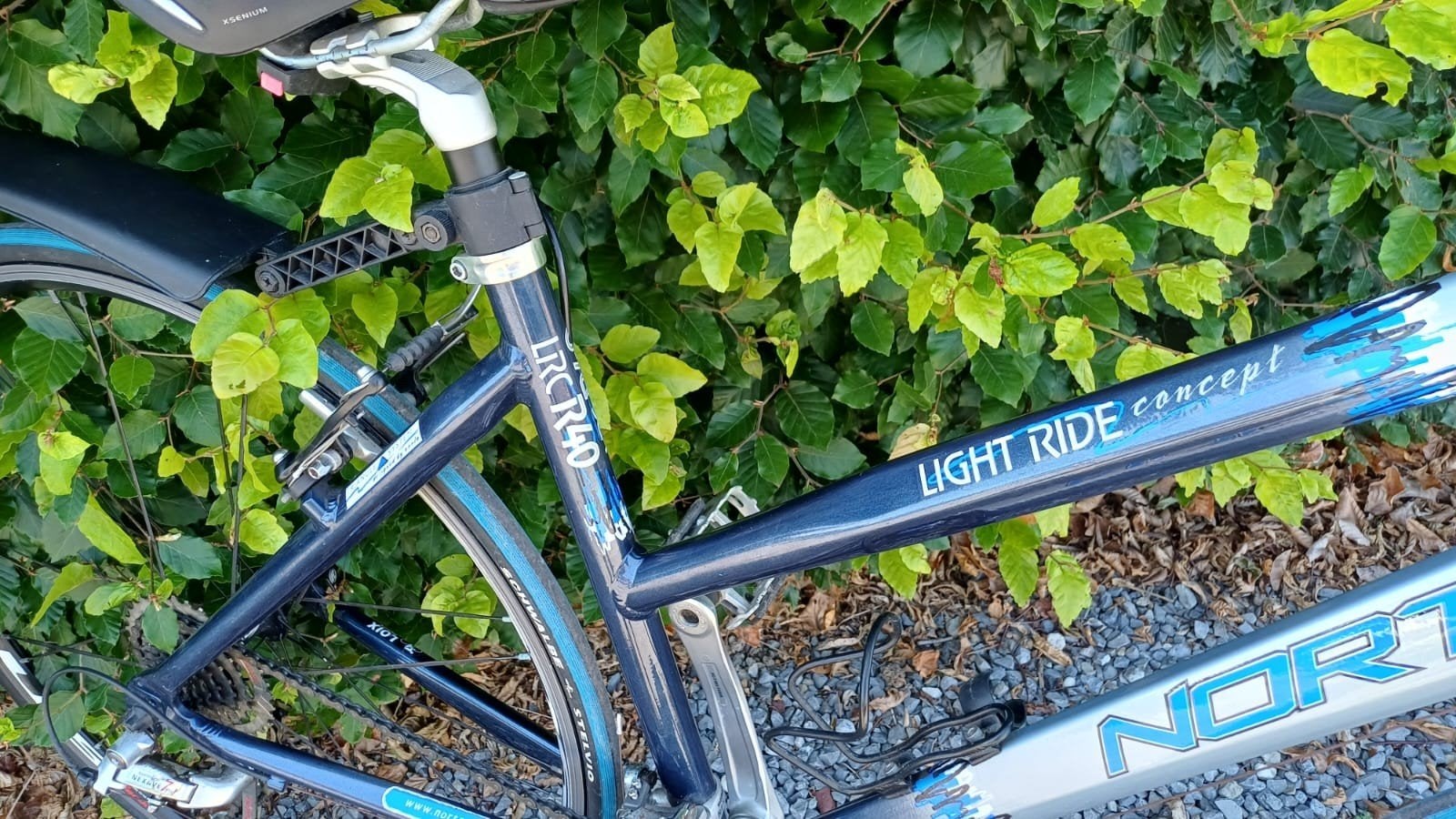 Sportieve damesfiets goede staat., Fietsen en Brommers, Ophalen