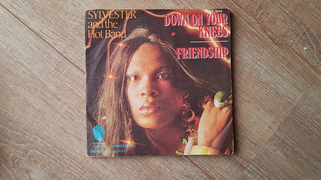 7" Sylvester And The Hot Band – Down On Your Knees, Cd's en Dvd's, Vinyl Singles, Ophalen of Verzenden, Gebruikt, 7 inch, Dance en House