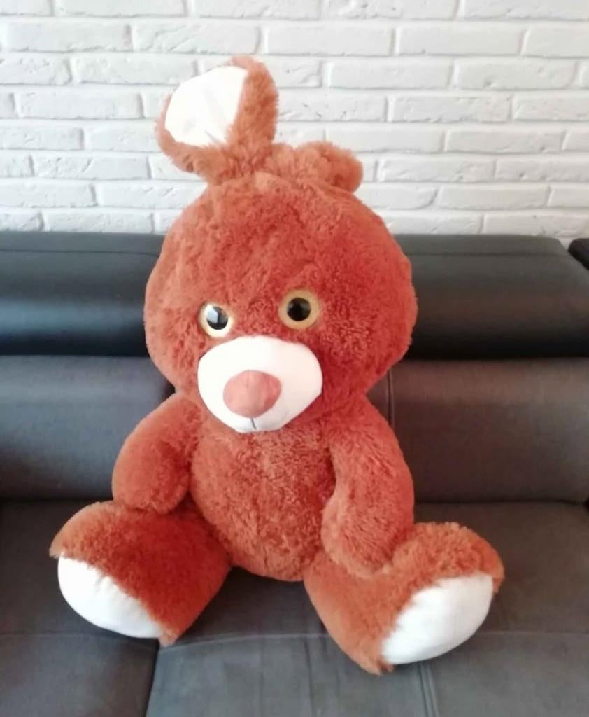 Konijn grote beer, Enlèvement, Ours